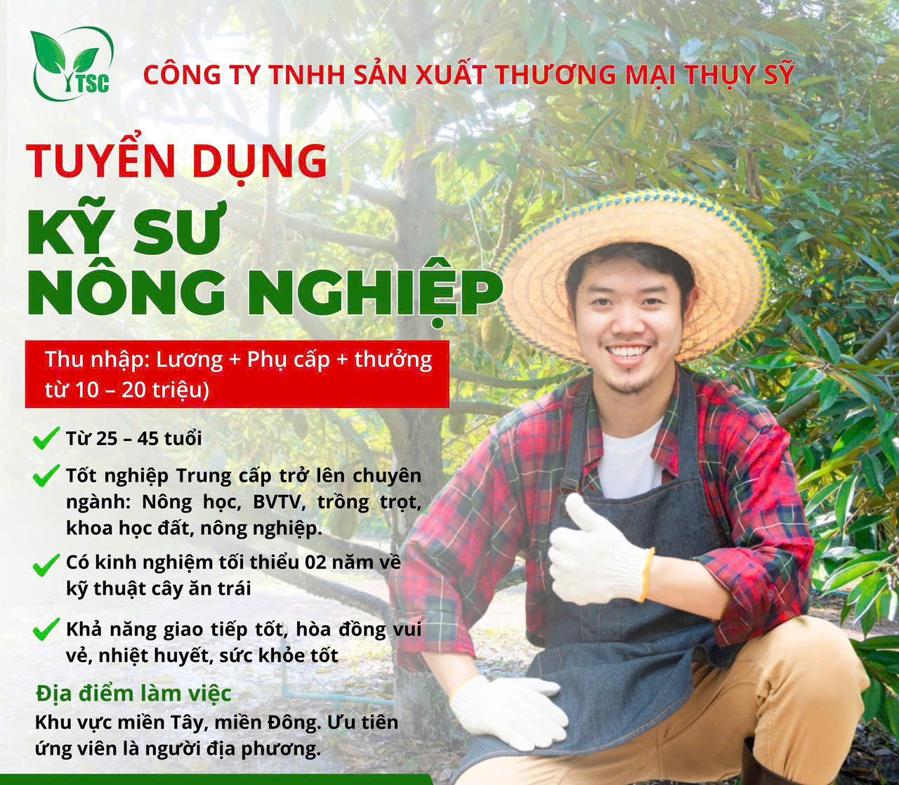lĩnh vực hoạt động